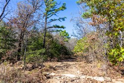 Stone Bridge Reserve Tract 8