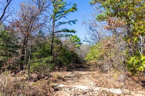 Stone Bridge Reserve Tract 8