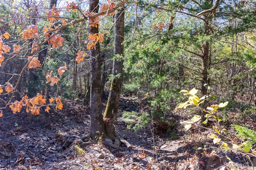 Stone Bridge Reserve Tract 8