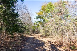 Stone Bridge Reserve Tract 8