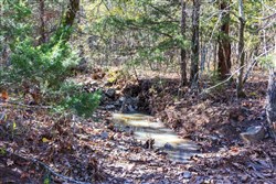 Stone Bridge Reserve Tract 8