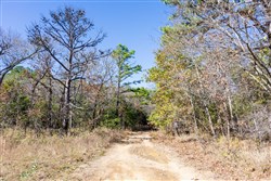 Stone Bridge Reserve Tract 9