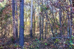 Stone Bridge Reserve Tract 9