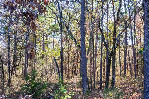Stone Bridge Reserve Tract 9