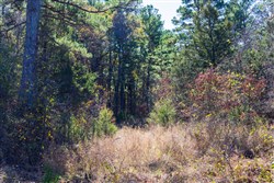 Stone Bridge Reserve Tract 9