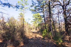 Stone Bridge Reserve Tract 9