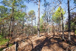 property photo for Stone Bridge Phase II Tract 100, 19.7 acres for sale in LatimerHaskell County, Oklahoma