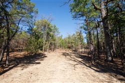 Stone Bridge Phase II Tract 102
