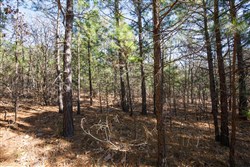 Stone Bridge Phase II Tract 102