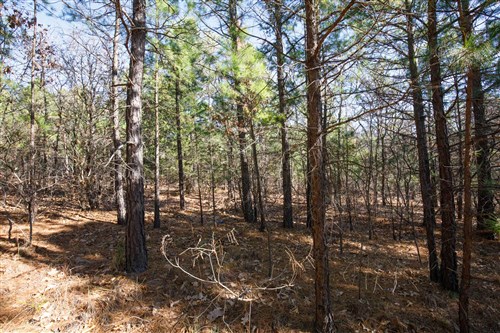 Stone Bridge Phase II Tract 102