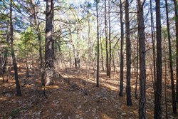 Stone Bridge Phase II Tract 102