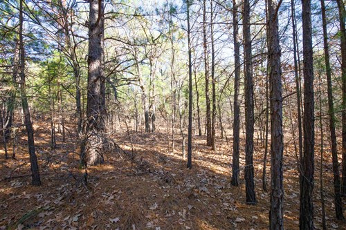Stone Bridge Phase II Tract 102