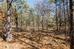 Stone Bridge Phase II Tract 102