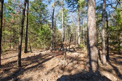 Stone Bridge Phase II Tract 102