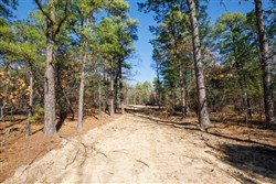 Stone Bridge Phase II Tract 102