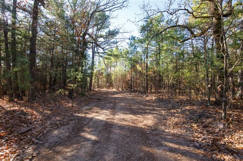 Stone Bridge Phase II Tract 106