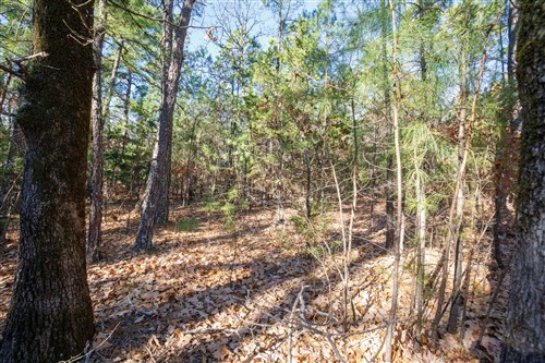 Stone Bridge Phase II Tract 106