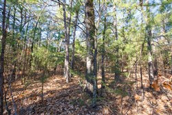Stone Bridge Phase II Tract 106