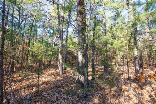 Stone Bridge Phase II Tract 106