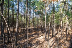 Stone Bridge Phase II Tract 106