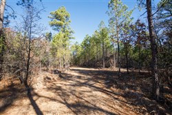 Stone Bridge Phase II Tract 106