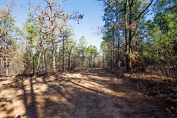 Stone Bridge Phase II Tract 111