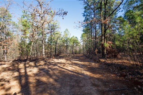 Stone Bridge Phase II Tract 111