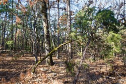 Stone Bridge Phase II Tract 111