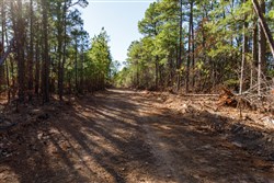 Stone Bridge Phase II Tract 111