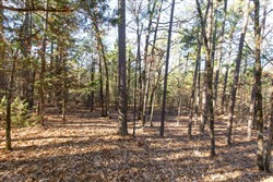 Stone Bridge Phase II Tract 111