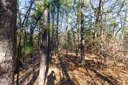 Stone Bridge Phase II Tract 111