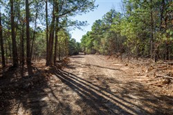 Stone Bridge Phase II Tract 111