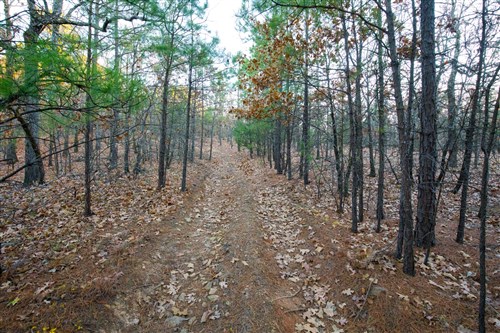 Stone Bridge Phase II Tract 114