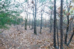 Stone Bridge Phase II Tract 114