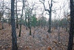 Stone Bridge Phase II Tract 114
