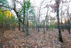 Stone Bridge Phase II Tract 114