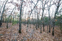 Stone Bridge Phase II Tract 114
