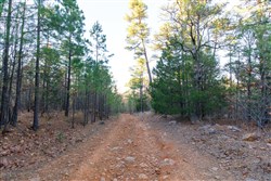 Stone Bridge Phase II Tract 116