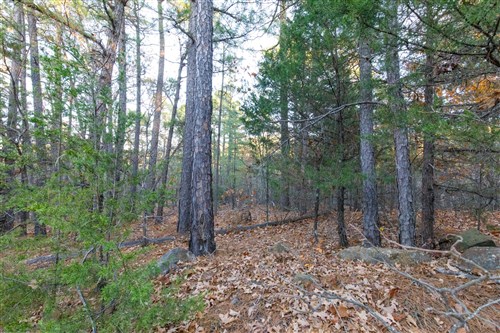Stone Bridge Phase II Tract 116