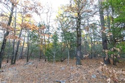 Stone Bridge Phase II Tract 116