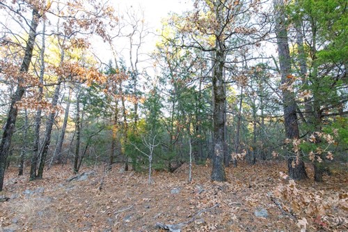 Stone Bridge Phase II Tract 116