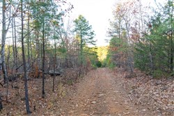 Stone Bridge Phase II Tract 116