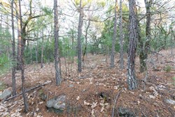Stone Bridge Phase II Tract 116