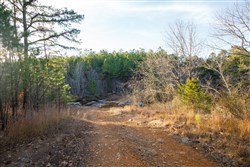 property photo for Stone Bridge Phase II Tract 117, 9.78 acres for sale in LatimerHaskell County, Oklahoma