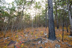 property photo for Stone Bridge Phase II Tract 117, 9.78 acres for sale in LatimerHaskell County, Oklahoma