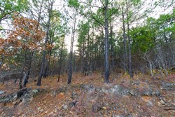 property photo for Stone Bridge Phase II Tract 117, 9.78 acres for sale in LatimerHaskell County, Oklahoma
