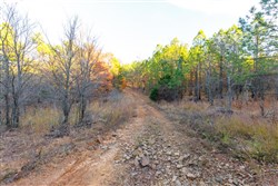 Stone Bridge Phase II Tract 119