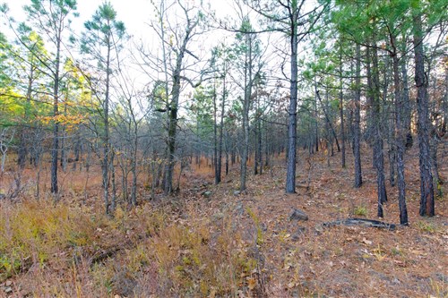 Stone Bridge Phase II Tract 119