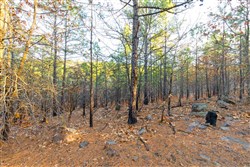 Stone Bridge Phase II Tract 119