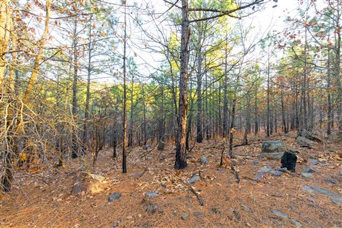 Stone Bridge Phase II Tract 119
